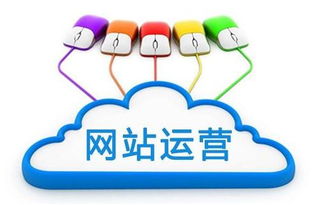 腾鸽信息 数字化浪潮下的品牌营销策划新范式