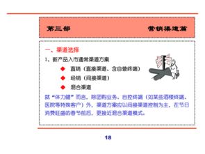 汇源集团新产品营销策划全案
